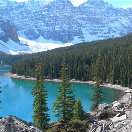 Beautiful Nature
